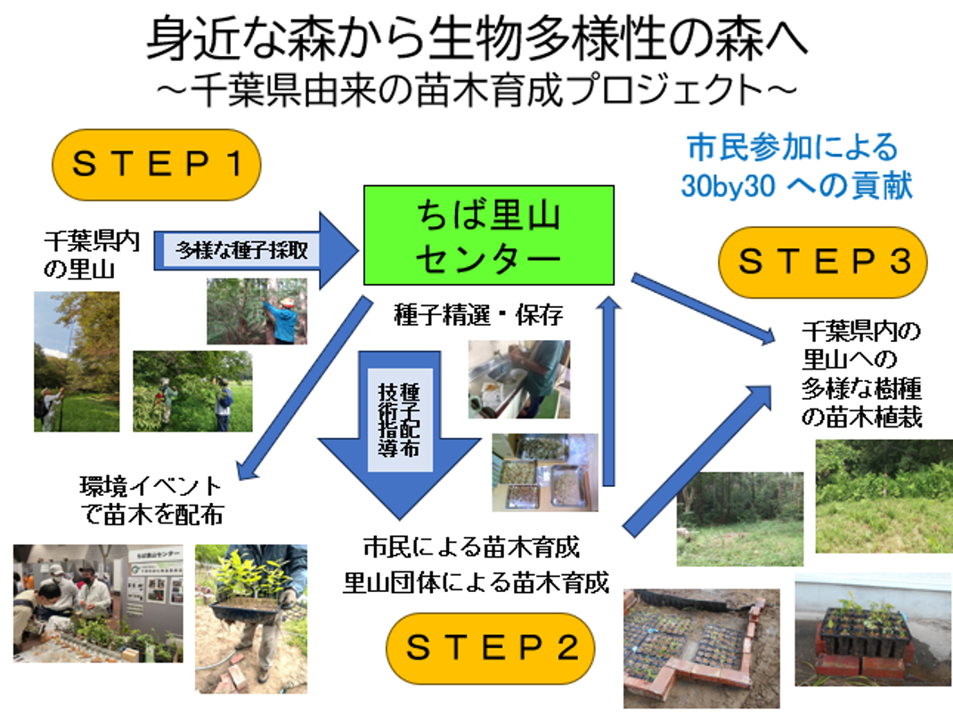 千葉県由来の苗木育成プロジェクト