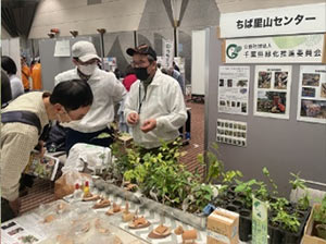 イベントでの苗木配布