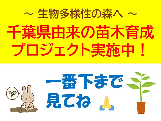 千葉県由来の苗木育成プロジェクト